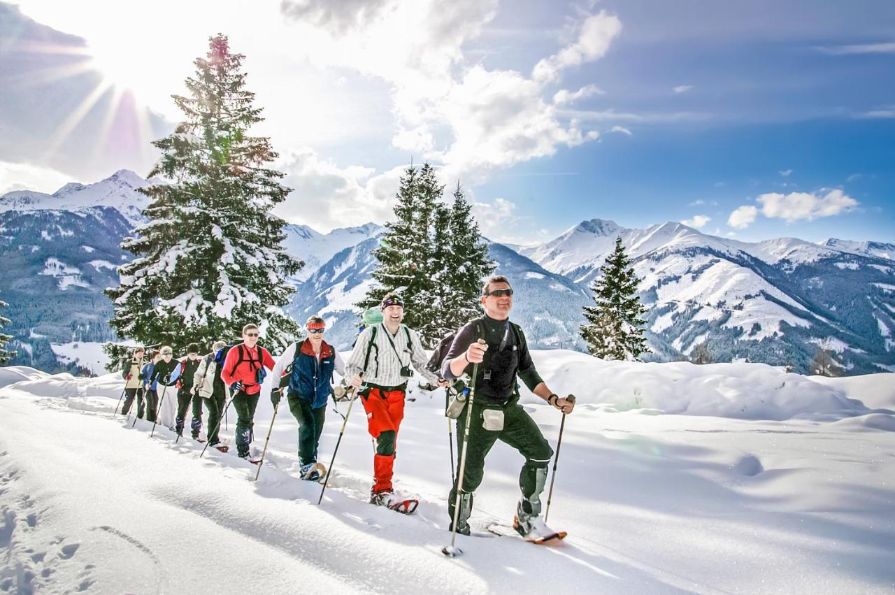 Alpen Chalets Zell Am See Нідернзілль Екстер'єр фото